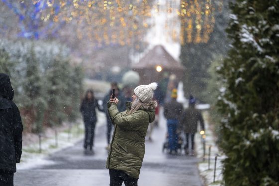 A snowy scene of a person taking a photograph outdoors at Longwood Gardens.